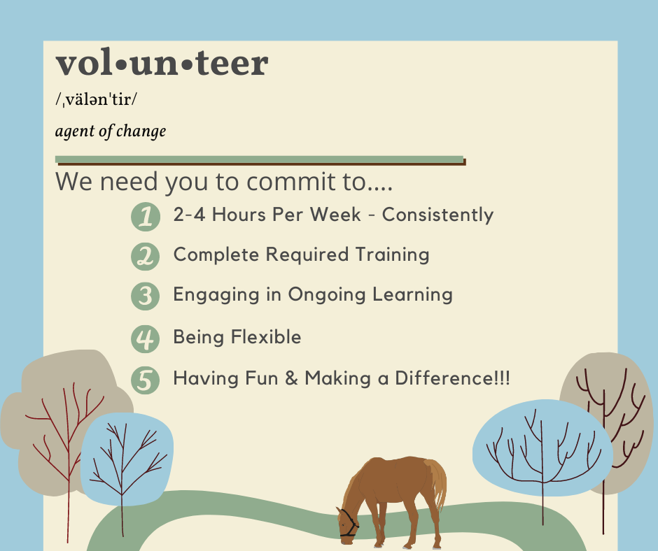 Volunteer Flyer