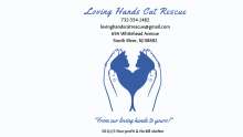 Loving Hands Cat Rescue logo